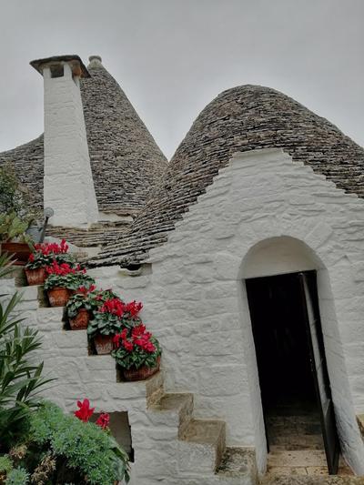 Hotel Silva