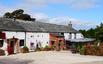 Bradley's Riding Centre & Bed and Breakfast