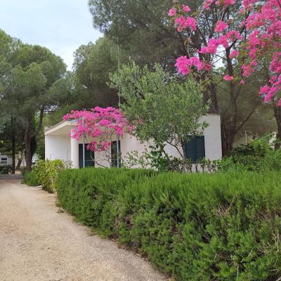 Camping Cala Dei Ginepri