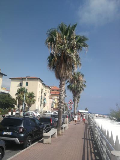 Hotel Provenza