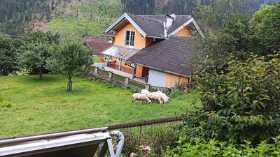 Ferienwohnungen am Bauernhof
