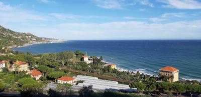 Un Mare di Fiori