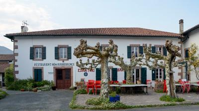 Barberaenea