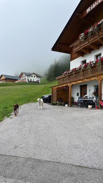 Pension Mühlenstüberl