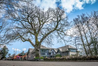 Oak Tree Inn