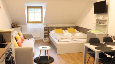 Apartmán Justýna Horní Blatná