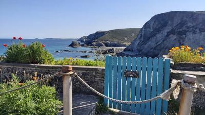 Cove Cottages