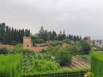 Cortijo Triviño