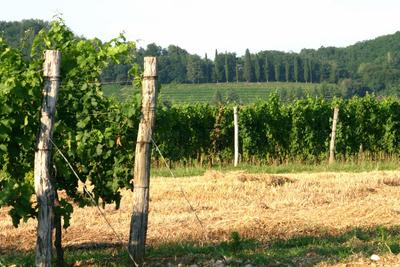 Borgo San Daniele