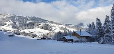 Hari's Chalets Nr. 3