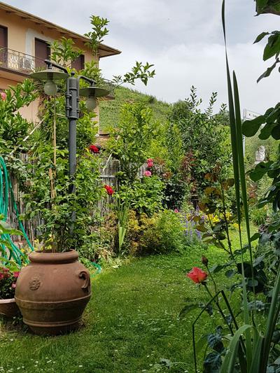 Farmhouse Il Gallo