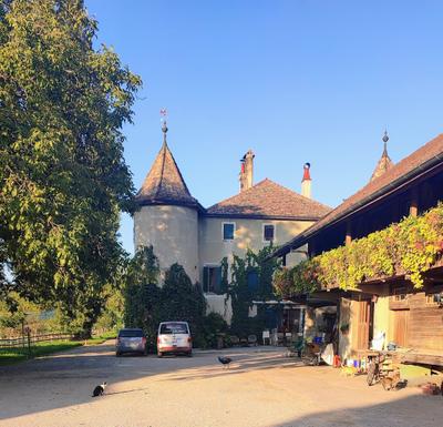 Domaine Bois-Bougy