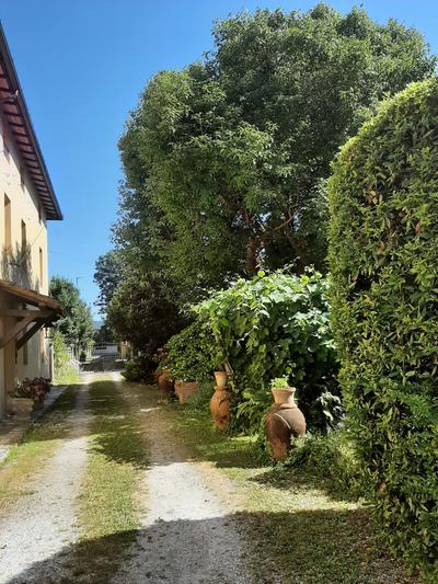 Casa Verdina
