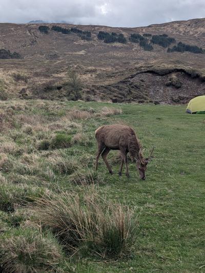 Iveroran Picnic Grounds Wildcamp