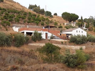 Fuente Conejo