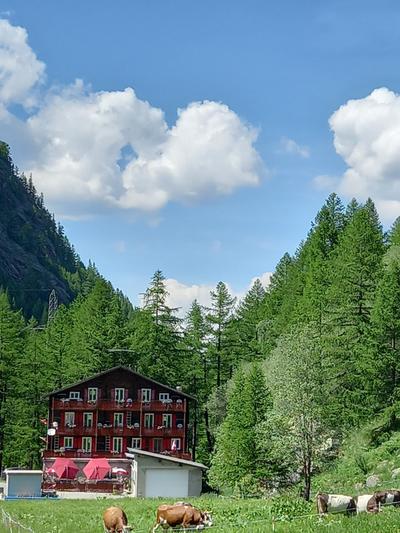 Pension Restaurant Waldegg