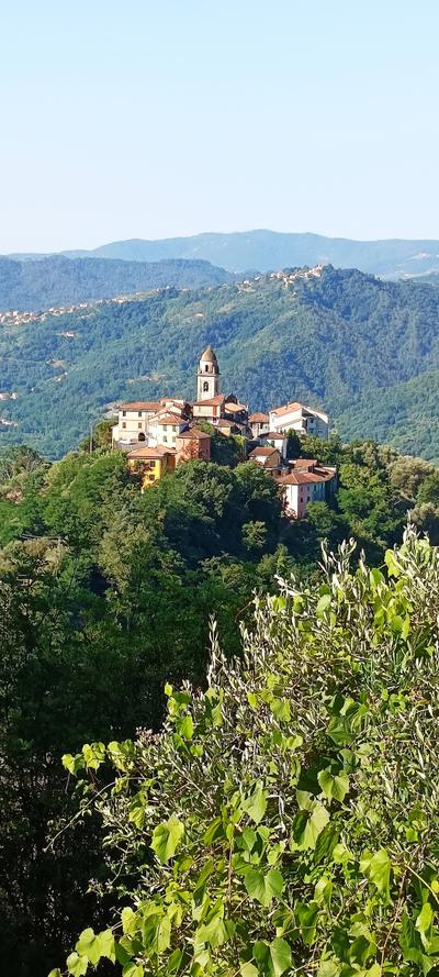 Terrarossa