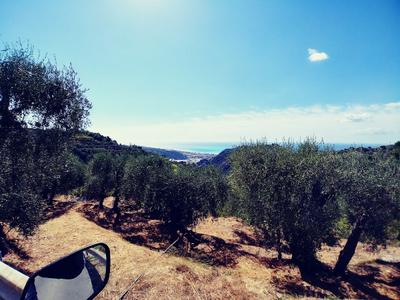 Le Fontane organic oriented farm B&B