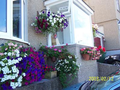 Crest-o-Wave Guesthouse