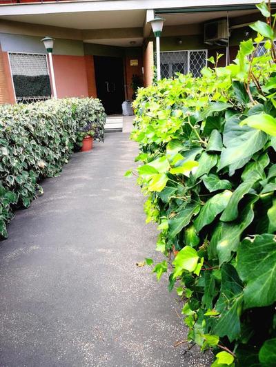 B&B Jonio Bed and Breakfast Roma