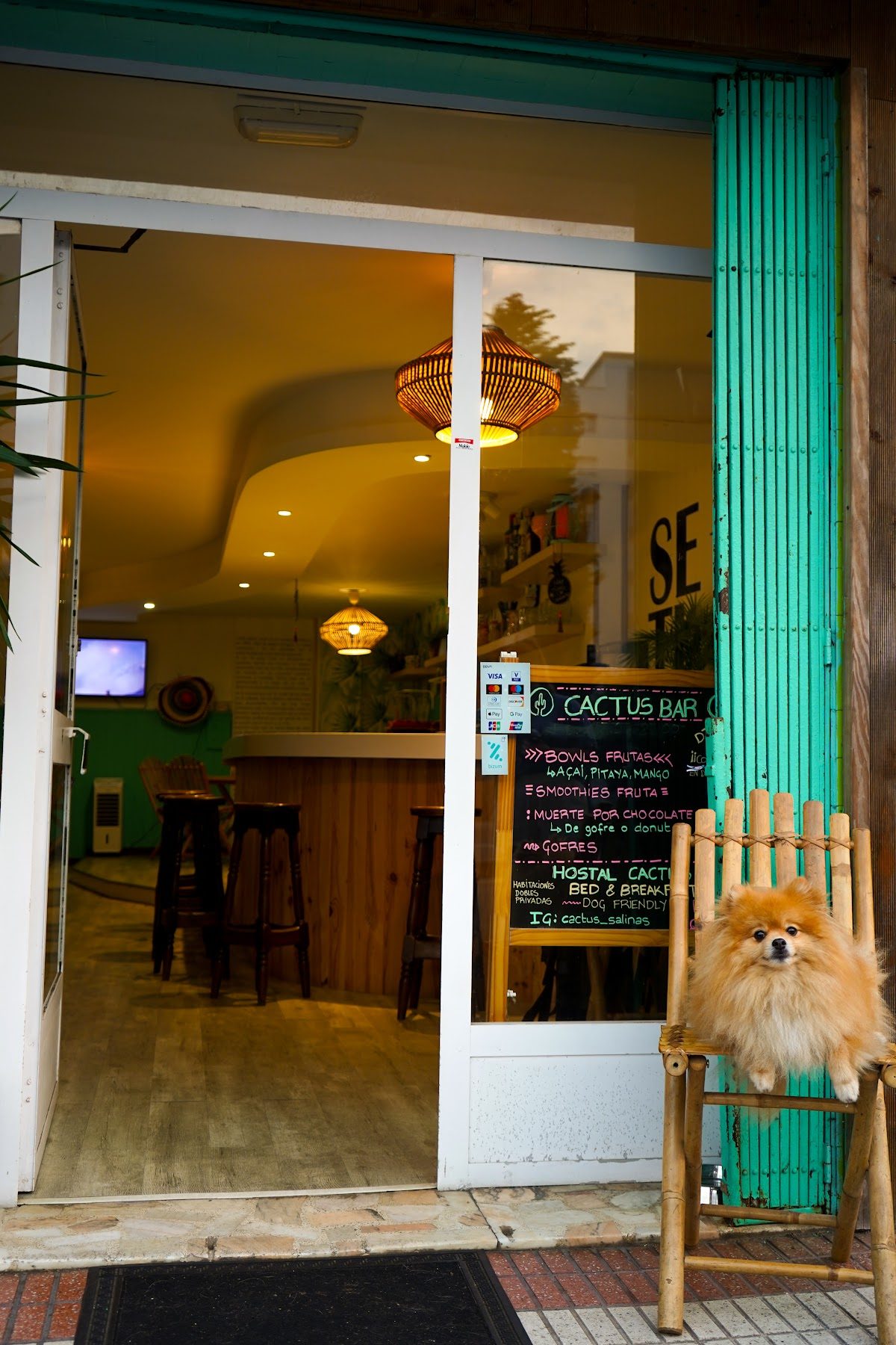 Cactus by Arenas Alojamiento Bar