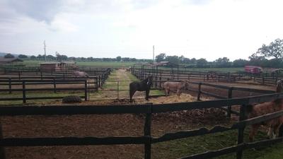 Bed & Breakfast Al Carretto