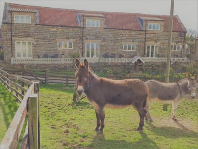 Meadowbeck Holiday Cottages & Shepherd Huts