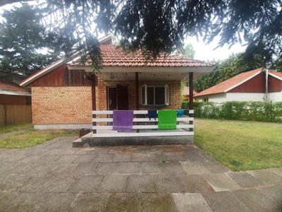 Surf Camp Hostel