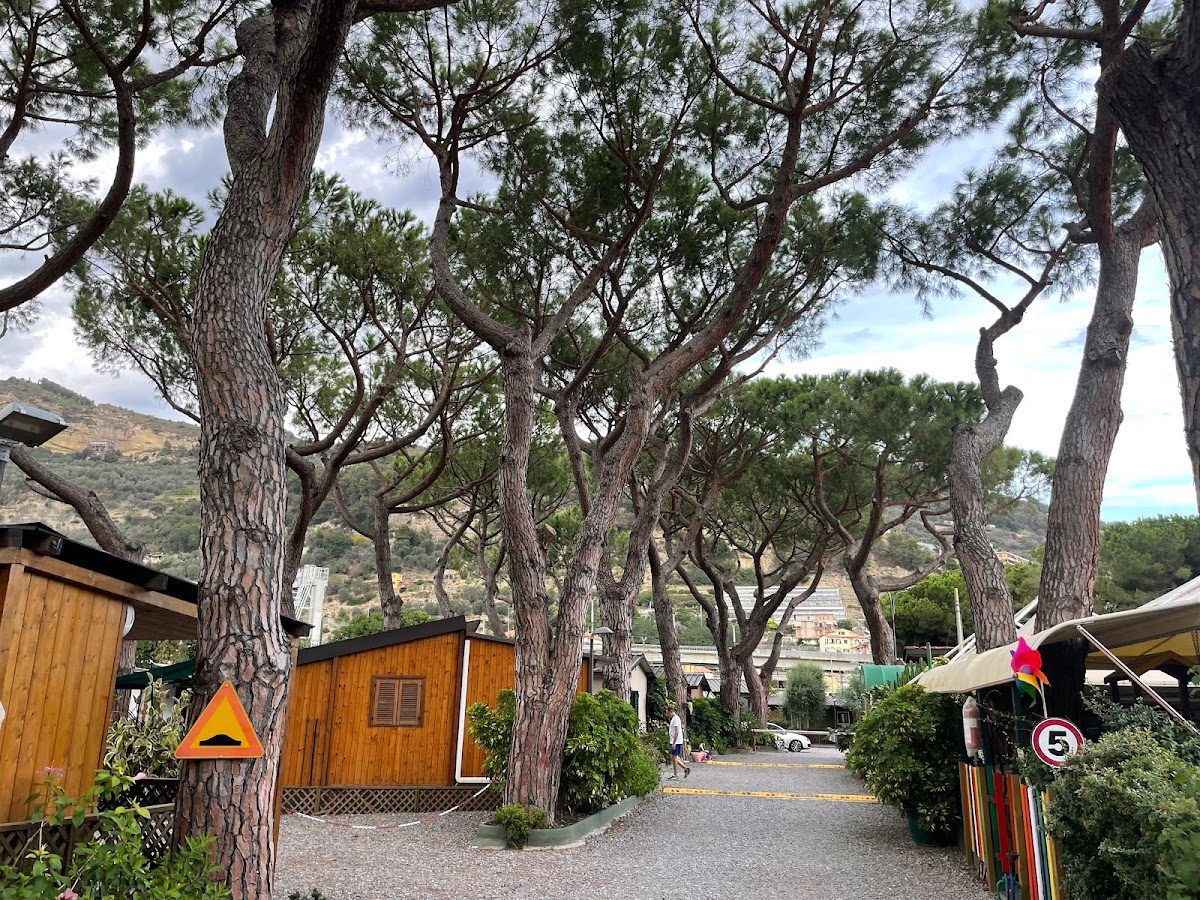 Camping Roma