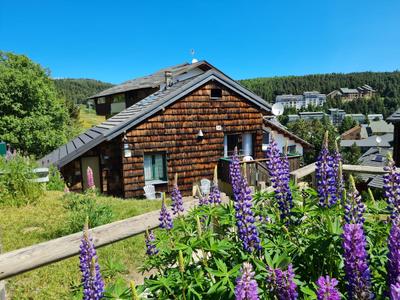 Chalet Les Lupins Bleus