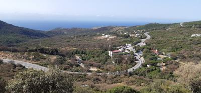 Cortijo Pelayo