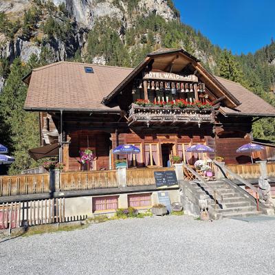 Hotel Waldhaus