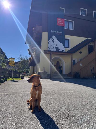 Alphotel