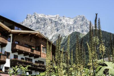 Hotel Tirolerhof | Familotel Zugspitze