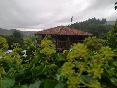 Valpiñuela