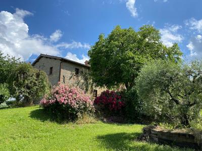 Tenuta di Fassia