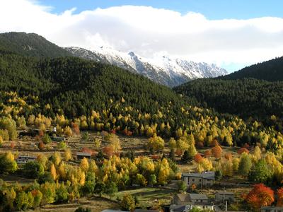 L'Orri de Planès