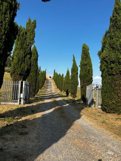 Podere Enzi