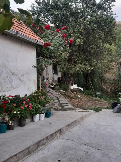 Glamping Camp Arjana