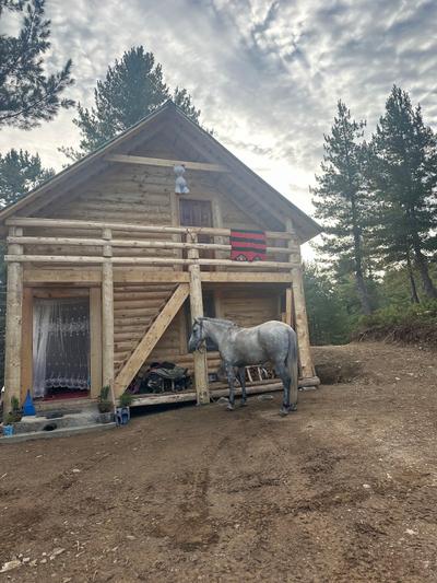 Leo’s cabin
