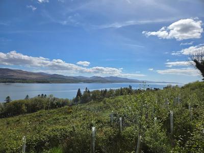 6 Ensuite Bedrooms-sleeps 12-garden-sea & Mtn View