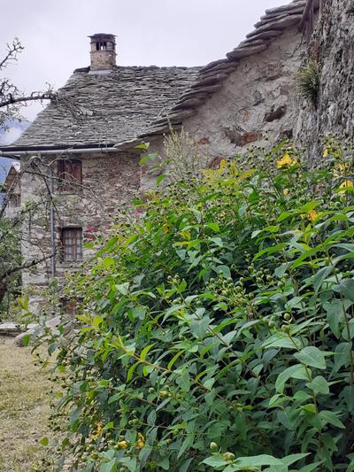 Alpe Ronco