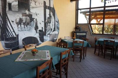 Azienda Agricola Zorzenon Alessandro