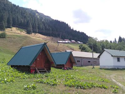 Guesthouse Zam Canin Katun