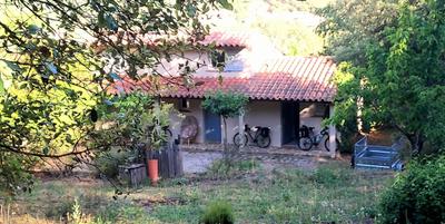 La Corrent Sana