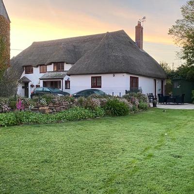 New Thatch