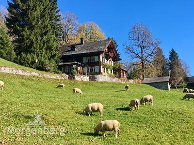 Chalet Morgenberg