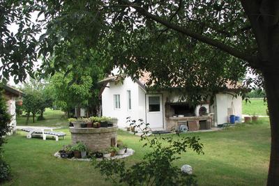 Near Treviso and the Prosecco
