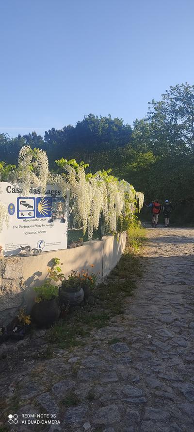 Casa das Lages