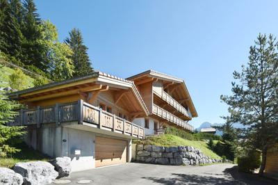 Ferienlenk Chalet Tannenbühl